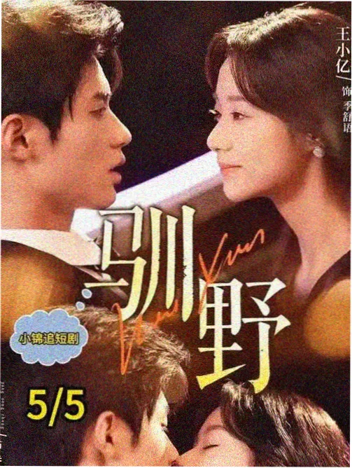 悬疑剧集雨夜信号塔的档案卡封面